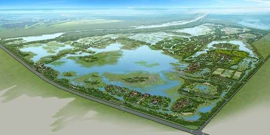 企业投建的邹城市太平国家湿地公园入选“全国林草科普基地”名单